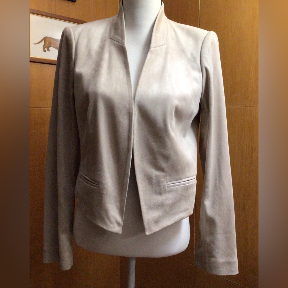 Cropped Suit Jacket - image 1